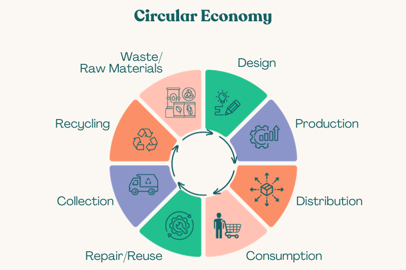 What is the Circular Economy? – Green Leaf Toys